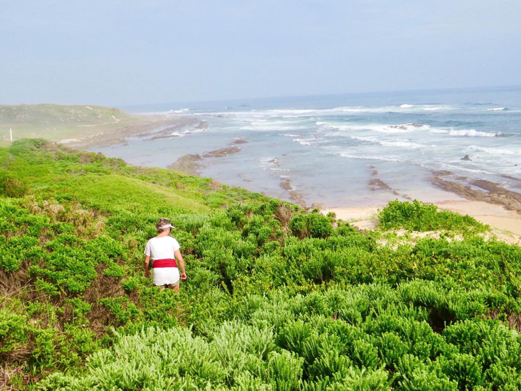 Whistlewood Guesthouse Walmer, Port Eizabeth Port Elizabeth Dış mekan fotoğraf