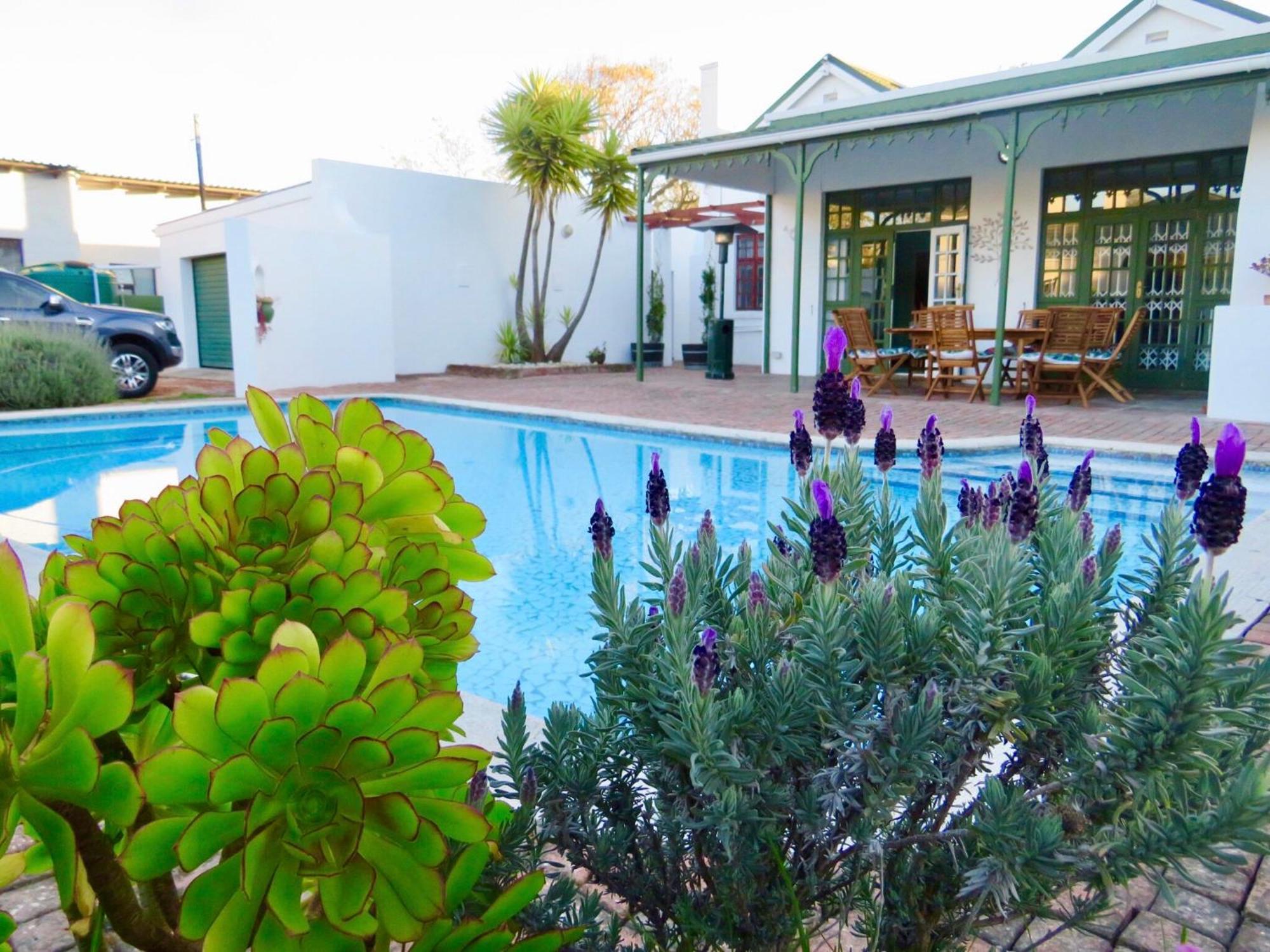 Whistlewood Guesthouse Walmer, Port Eizabeth Port Elizabeth Dış mekan fotoğraf